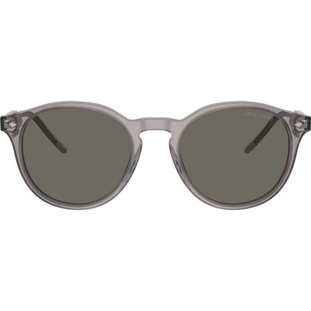 AR8211F, Transparent Grey/Grey Glass Lenses