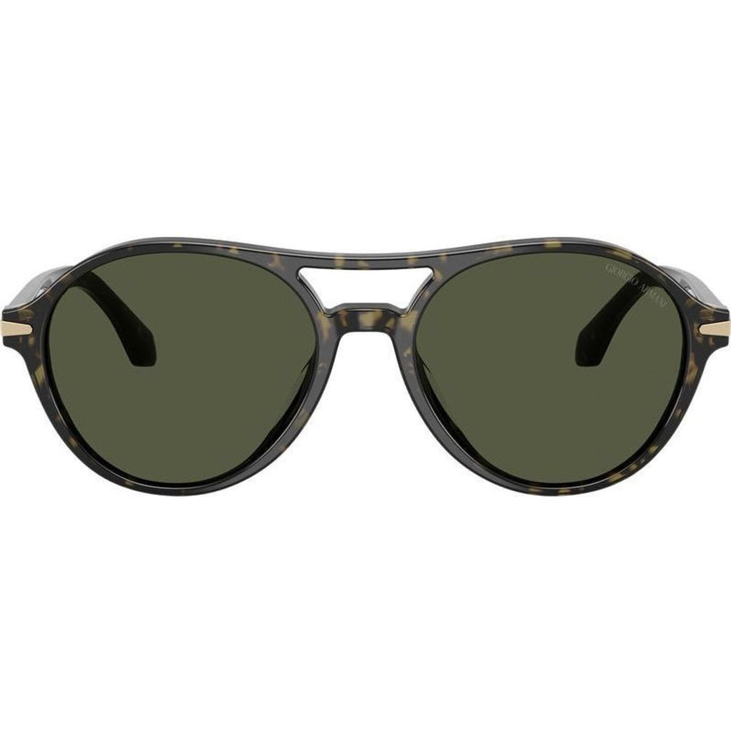 AR8236U, Green Havana/Green Glass Lenses