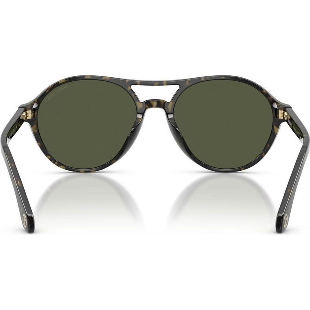 AR8236U, Green Havana/Green Glass Lenses