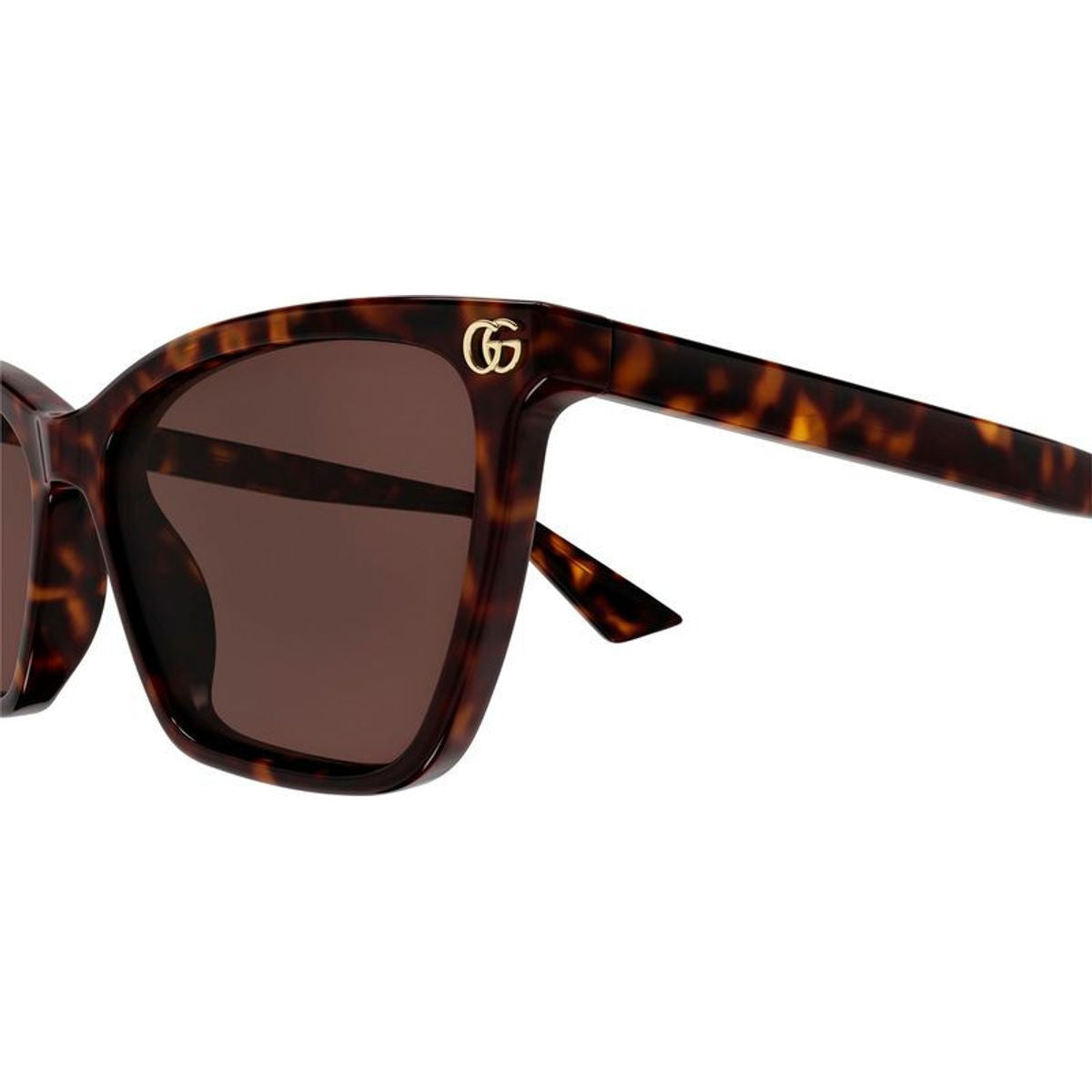 GG2111S, Havana/Brown Lenses