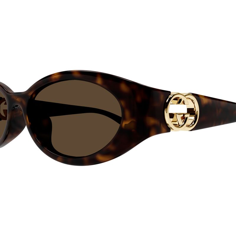 Gucci GG1662SA Havana Brown Temple Logo