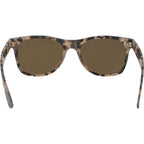 5842, Tortoise/Brown Lenses