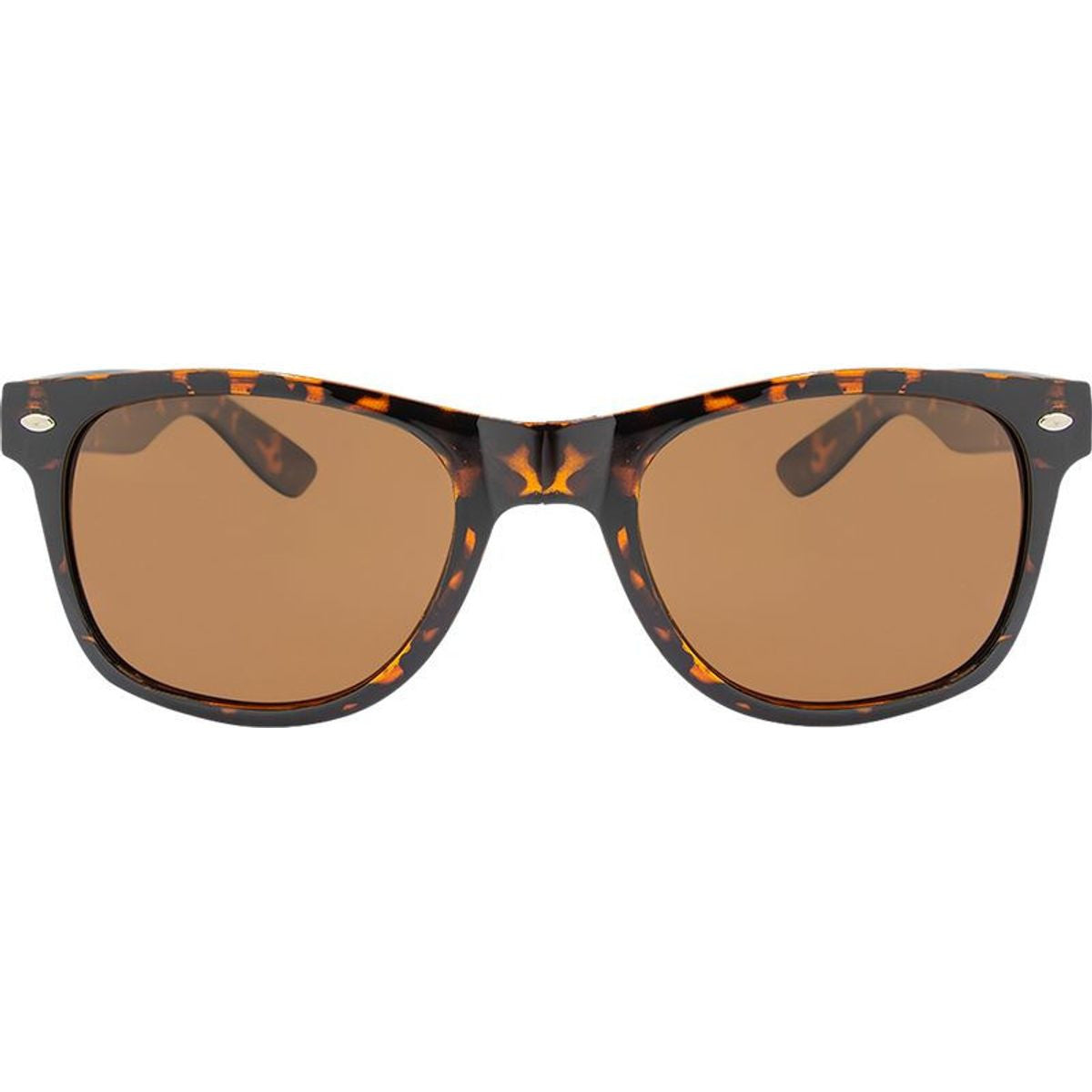 5842, Tortoise/Brown Polarised Lenses