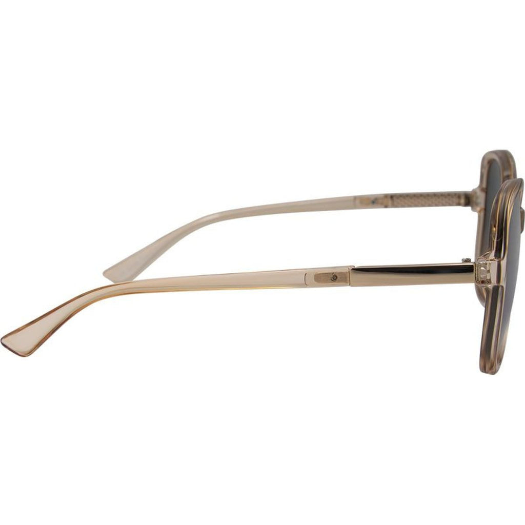 5916, Brown/Brown Lenses