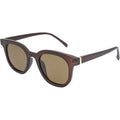 7279, Brown/Brown Polarised Lenses