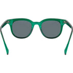 7279, Green/Smoke Polarised Lenses