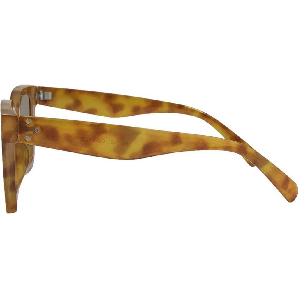 7351, Tortoise/Brown Lenses
