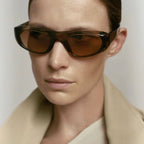 Benjamin, Brown/Brown Lenses