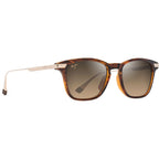Mana'olana, Shiny Dark Havana and Gold/HCL Bronze Polarised Lenses