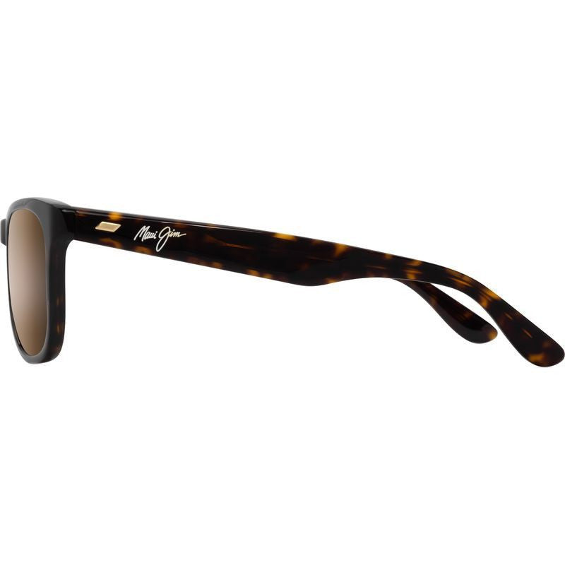 Kikonia XL, Shiny Dark Havana/HCL Bronze Glass Polarised Lenses