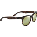 Koaniani Alt Fit, Shiny Melange Brown and Classic Havana/Maui HT Glass Polarised Lenses