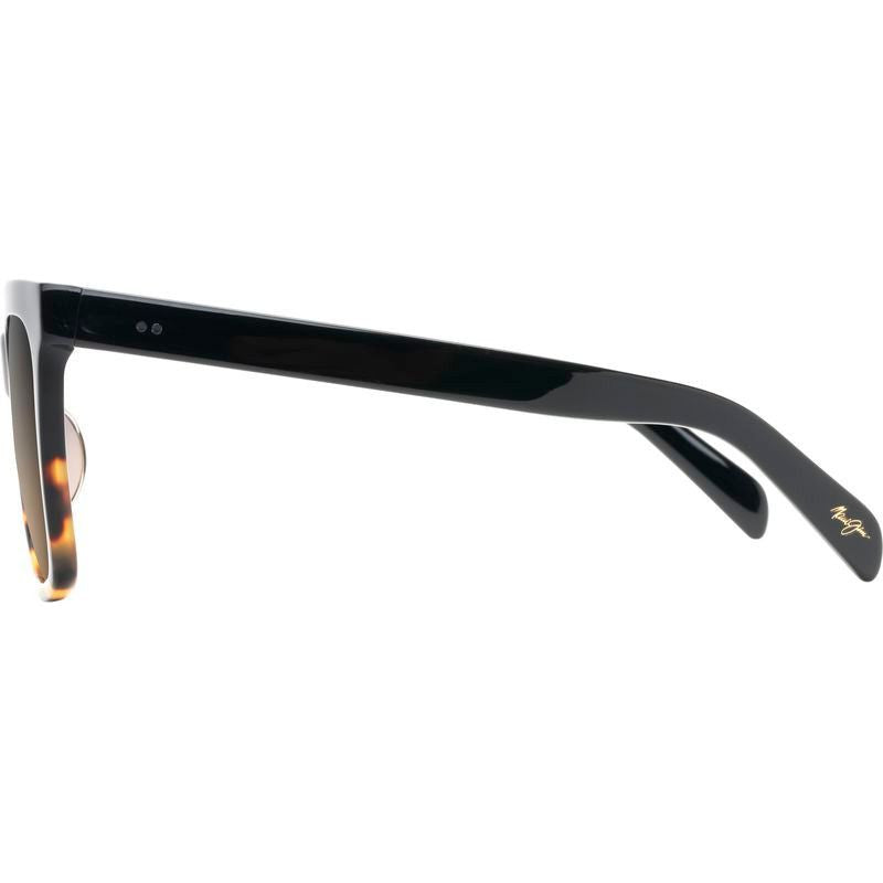 Rooftops, Black and Tortoise/HCL Bronze Glass Polarised Lenses