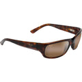 Stingray, Tortoise/HCL Bronze Glass Polarised Lenses