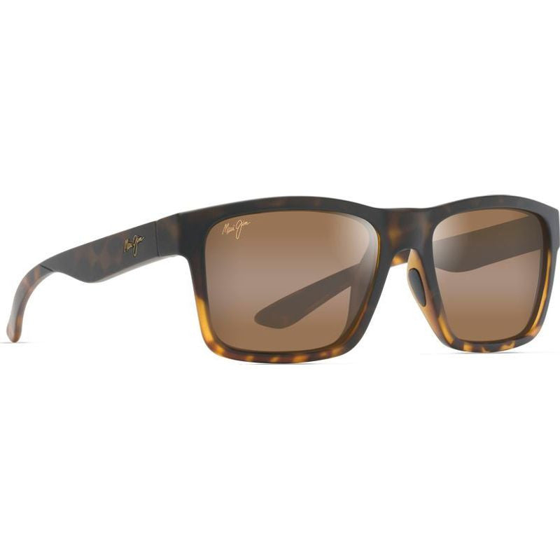 The Flats, Black and Tortoise/HCL Bronze Glass Polarised Lenses