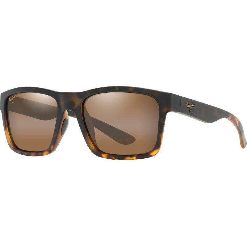 The Flats, Black and Tortoise/HCL Bronze Glass Polarised Lenses