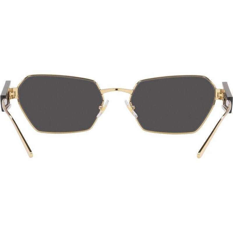 53WS, Pale Gold/Dark Grey Lenses