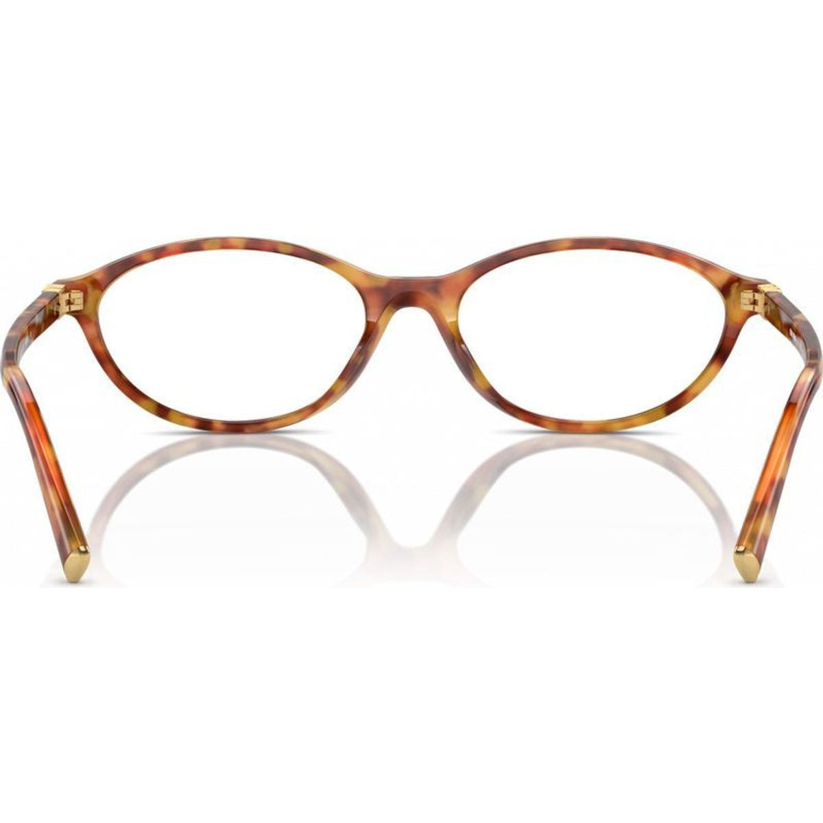 MU09XV, Light Havana/Clear Lenses 53 Eye Size