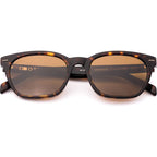 OTIS Chorus Eco Havana Ray Brown Front2