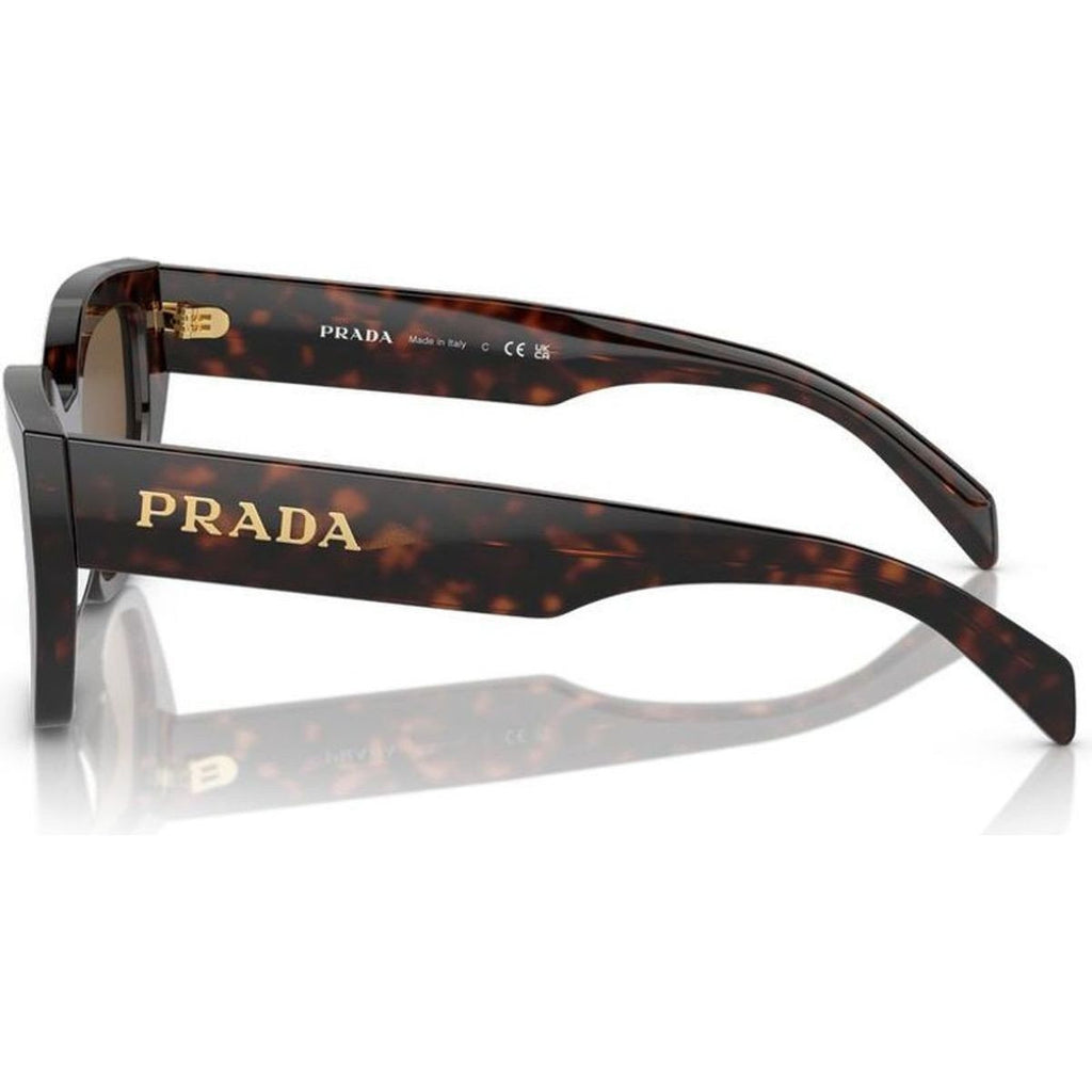 Prada PRA09SF (O), Briar Tort/Brown Lenses