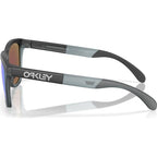 Frogskins Range, Matte Black/Prizm Sapphire Lenses