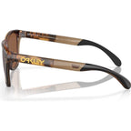 Frogskins Range (A), Brown Tortoise/Prizm Tungsten Lenses