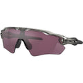 Radar EV Path, Grey Ink/Prizm Road Black Lenses