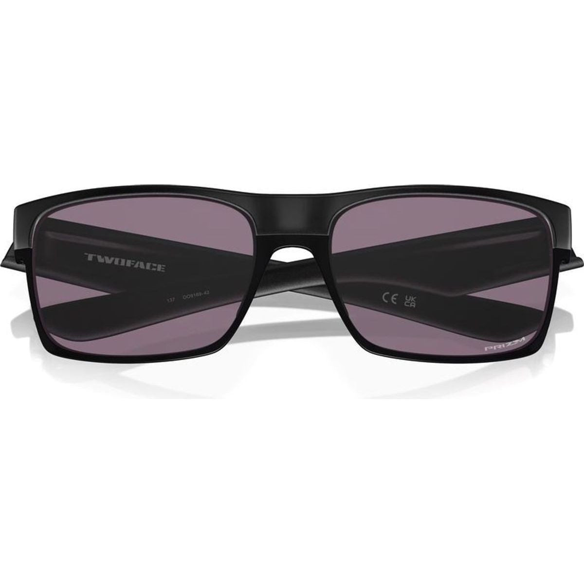 Twoface, Steel/Prizm Grey Lenses