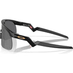 Resistor, Black/Prizm Black Lenses