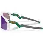 Resistor, Matte White/Prizm Jade Lenses
