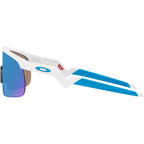 Resistor, Polished White/Sapphire Prizm Lenses