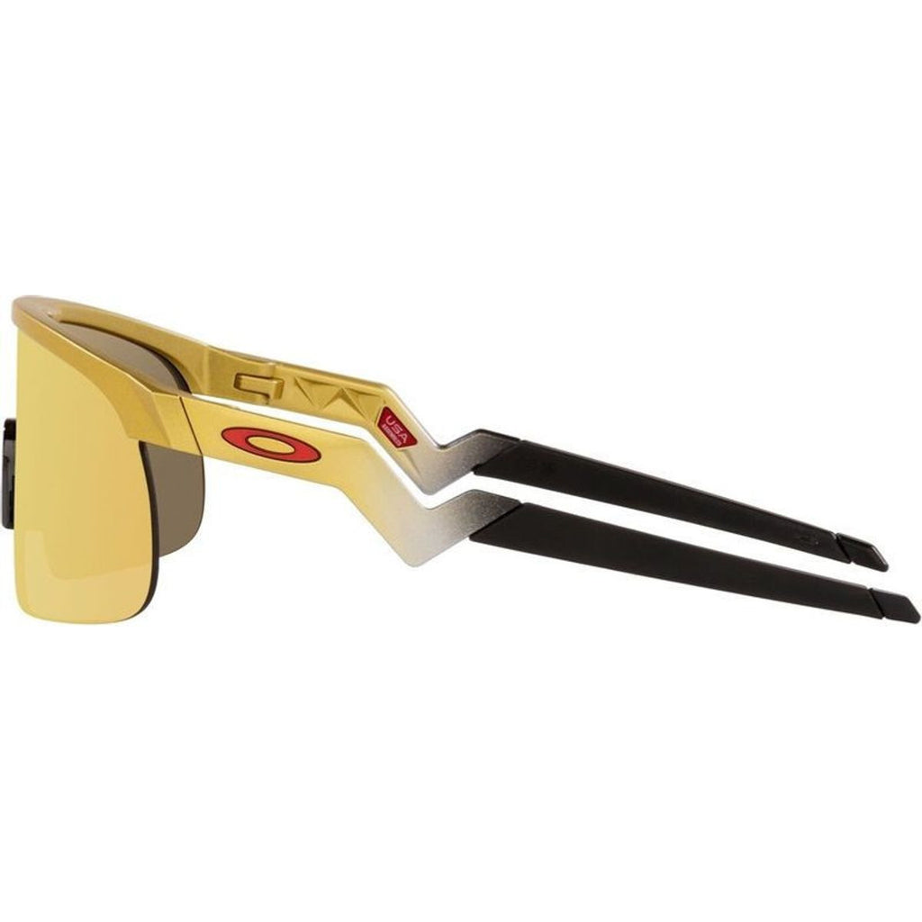 Resistor, Olympic Gold/24K Prizm Lenses