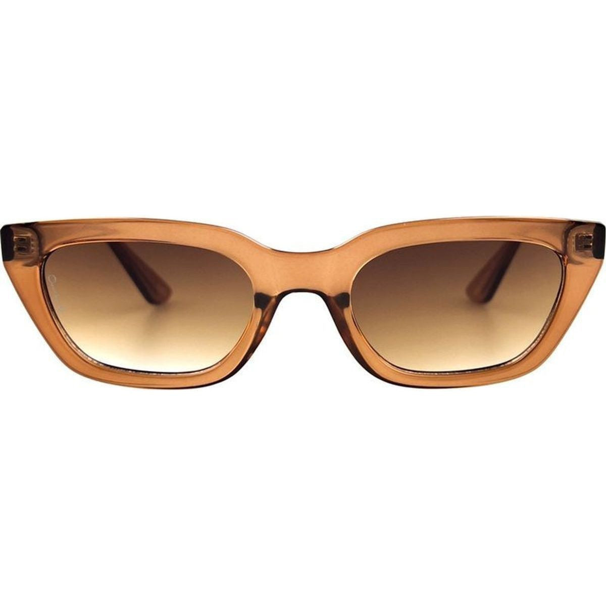 Nove, Transparent Coffee/Brown Lenses