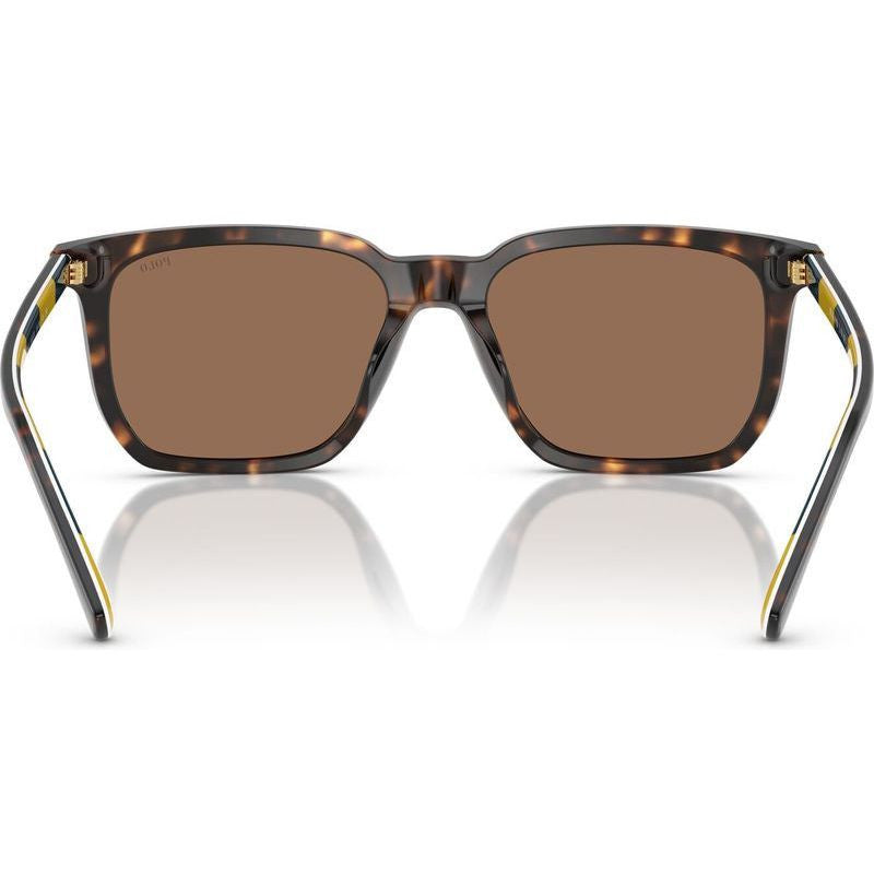PH4224U, Shiny Dark Havana/Dark Brown Lenses