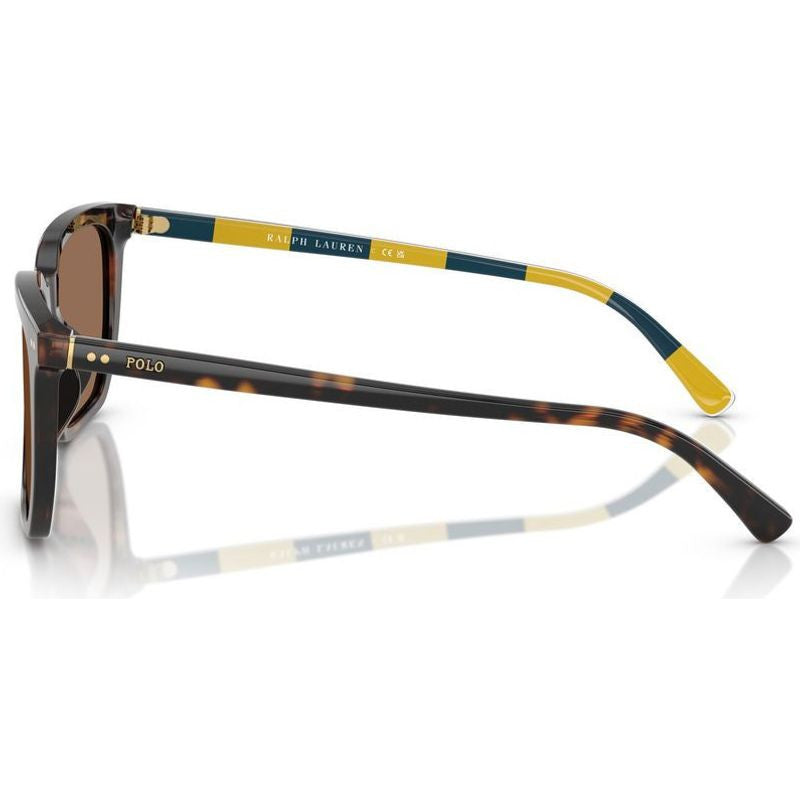 PH4224U, Shiny Dark Havana/Dark Brown Lenses