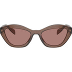 PRA02S, Transparent Brown/Light Brown Lenses
