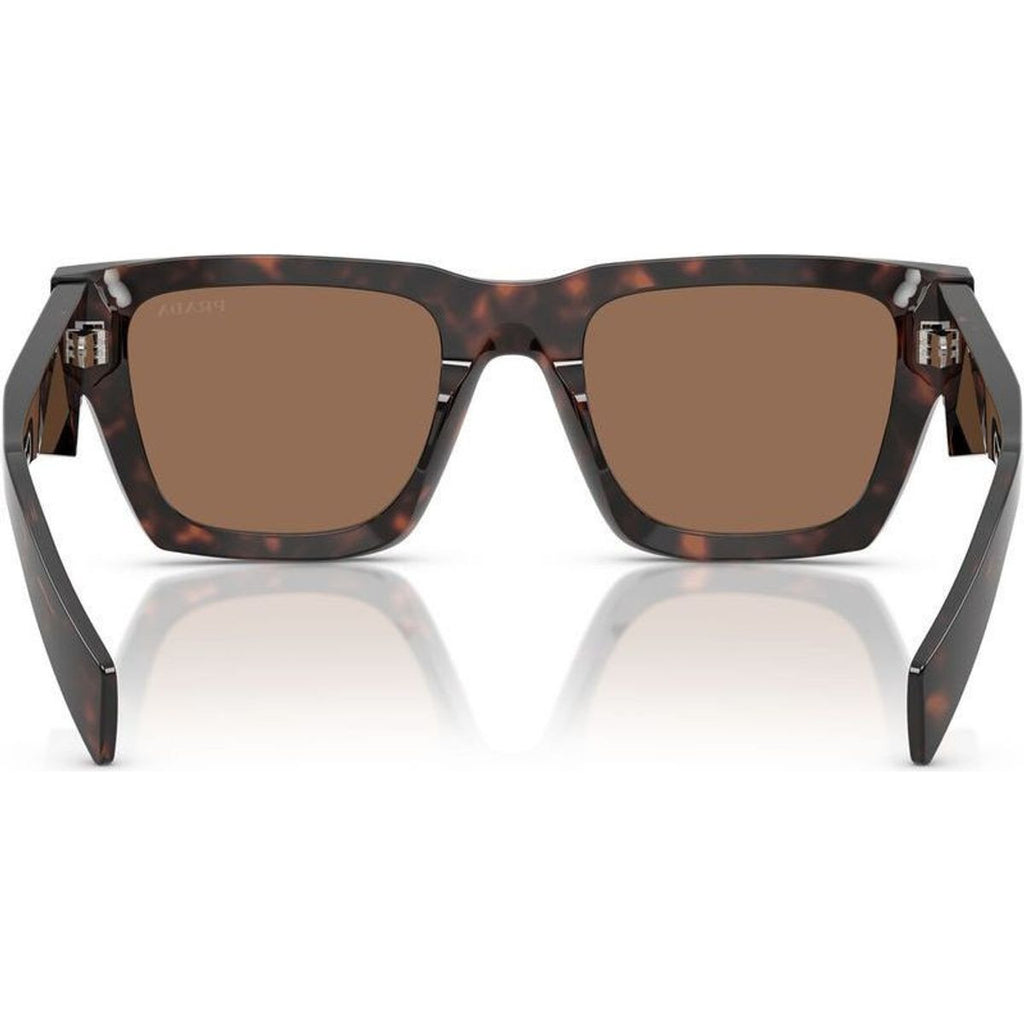 PRA06S, Root Tortoise/Dark Brown Lenses