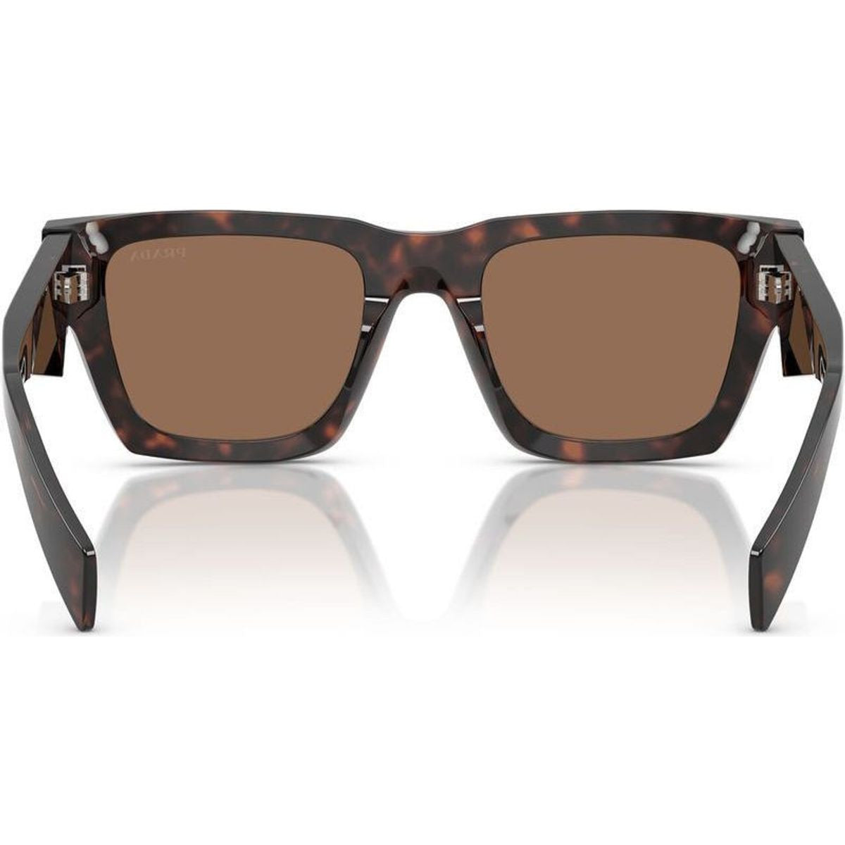 PRA06S, Root Tortoise/Dark Brown Lenses