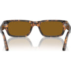 Adrien PO3347S, Brown Havana/Brown Glass Lenses 55 Eye Size