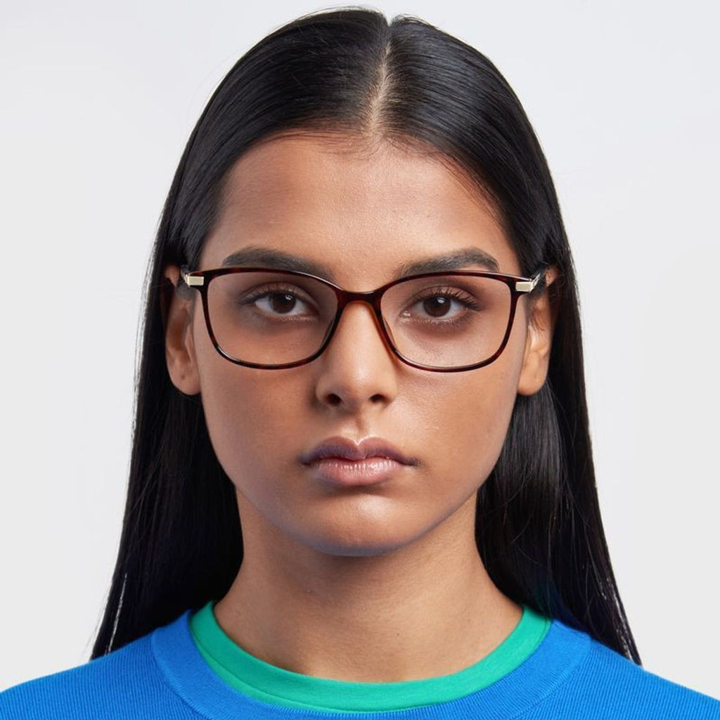 PLD D460/G, Havana/Clear Lenses