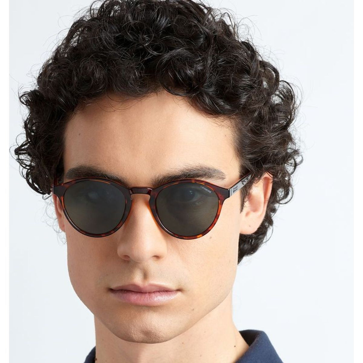 PLD 1013/S, Havana/Green Polarised Lenses