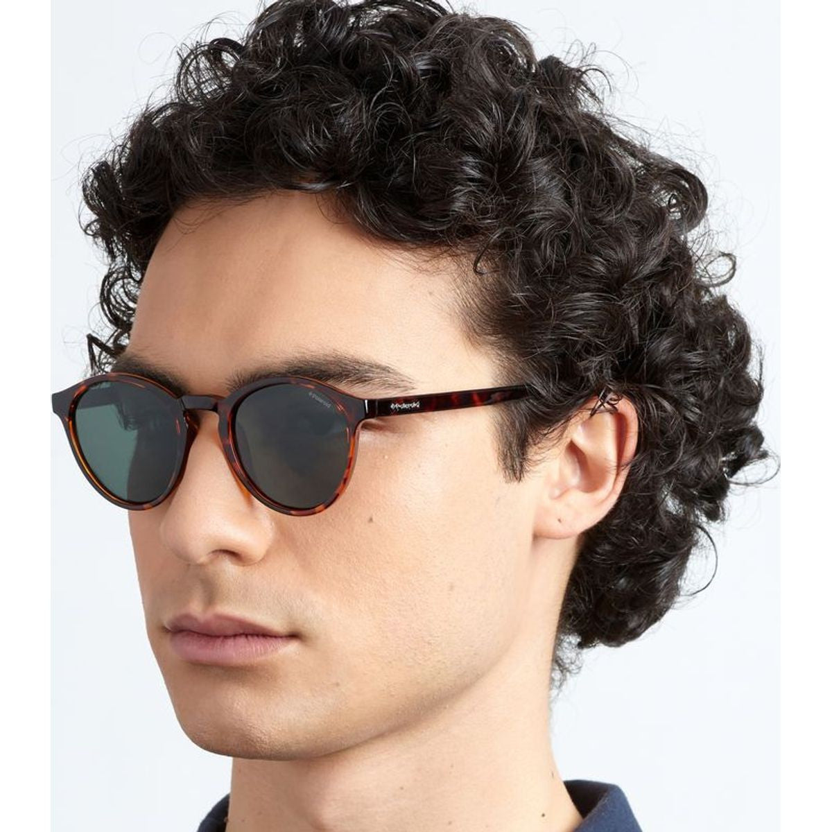 PLD 1013/S, Havana/Green Polarised Lenses