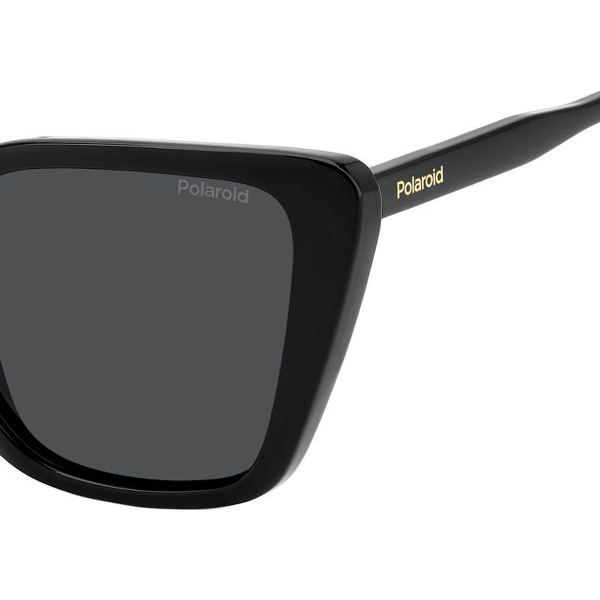 PLD 4189/S, Black/Grey Polarised Lenses
