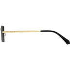 PLD 6245/S, Gold/Grey Polarised Lenses