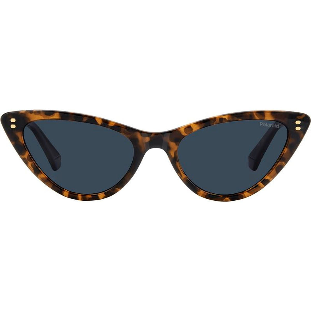 PLD 6246/S, Havana/Blue Polarised Lenses
