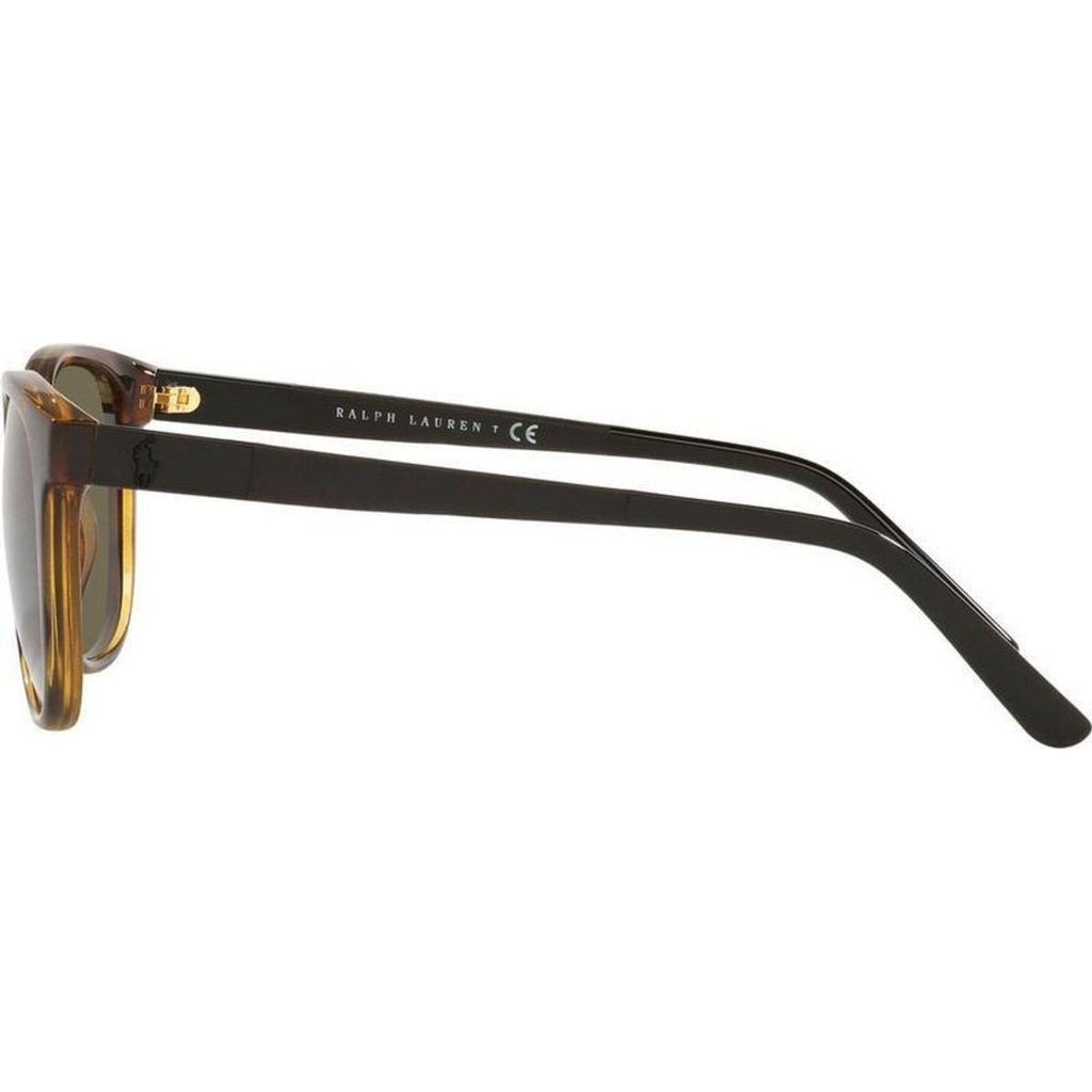 PH4182U, Shiny Havana/Brown Lenses