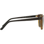 PH4182U, Shiny Havana/Brown Lenses