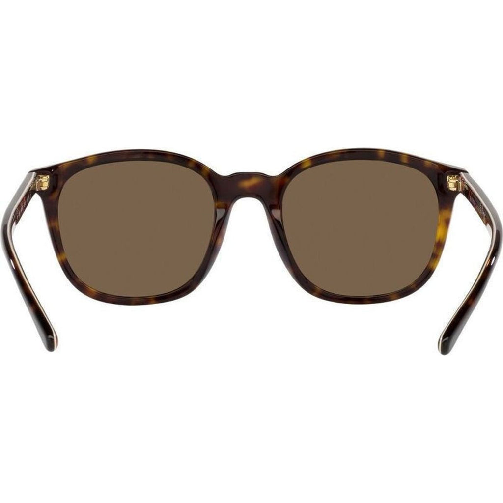 PH4188, Shiny Dark Havana/Brown Lenses