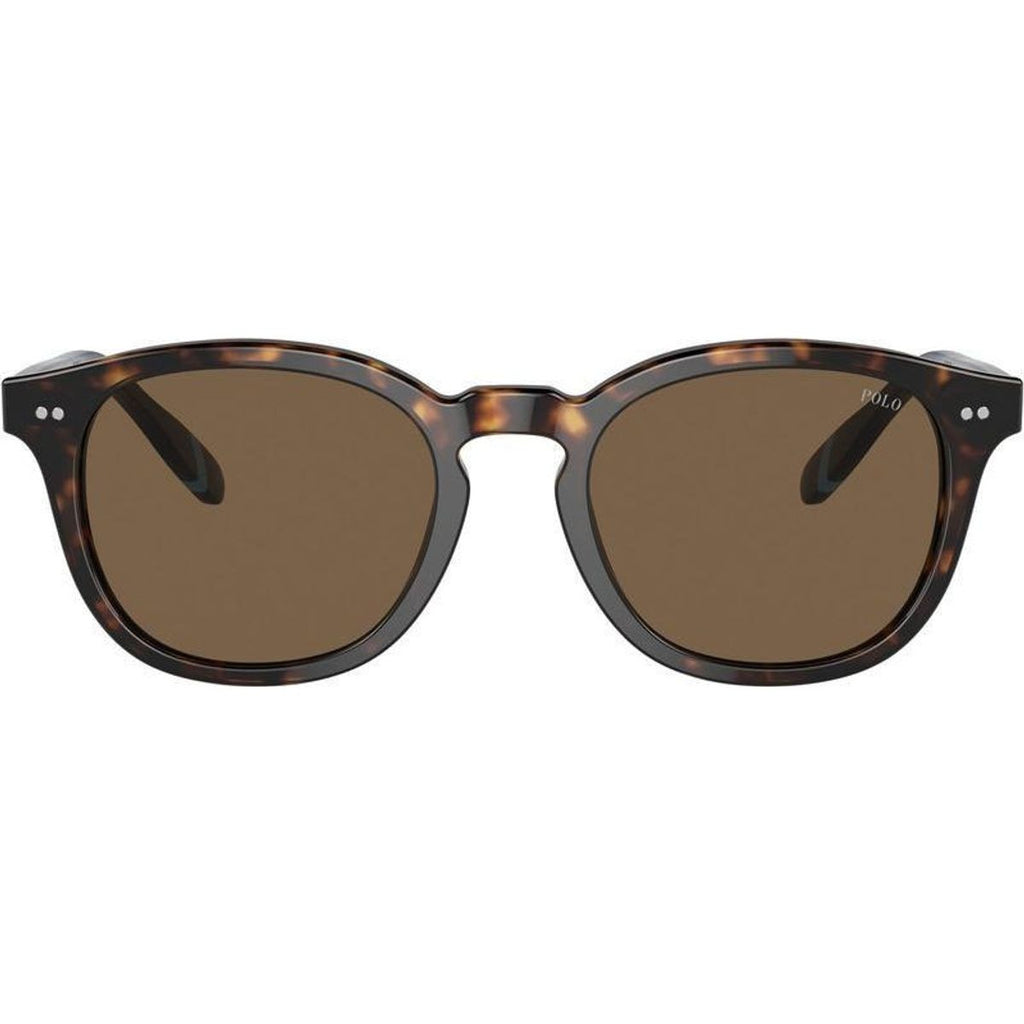 PH4206, Shiny Dark Havana/Brown Lenses