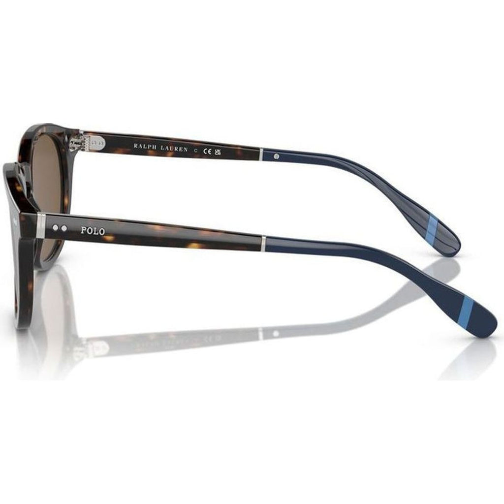 PH4206, Shiny Dark Havana/Brown Lenses