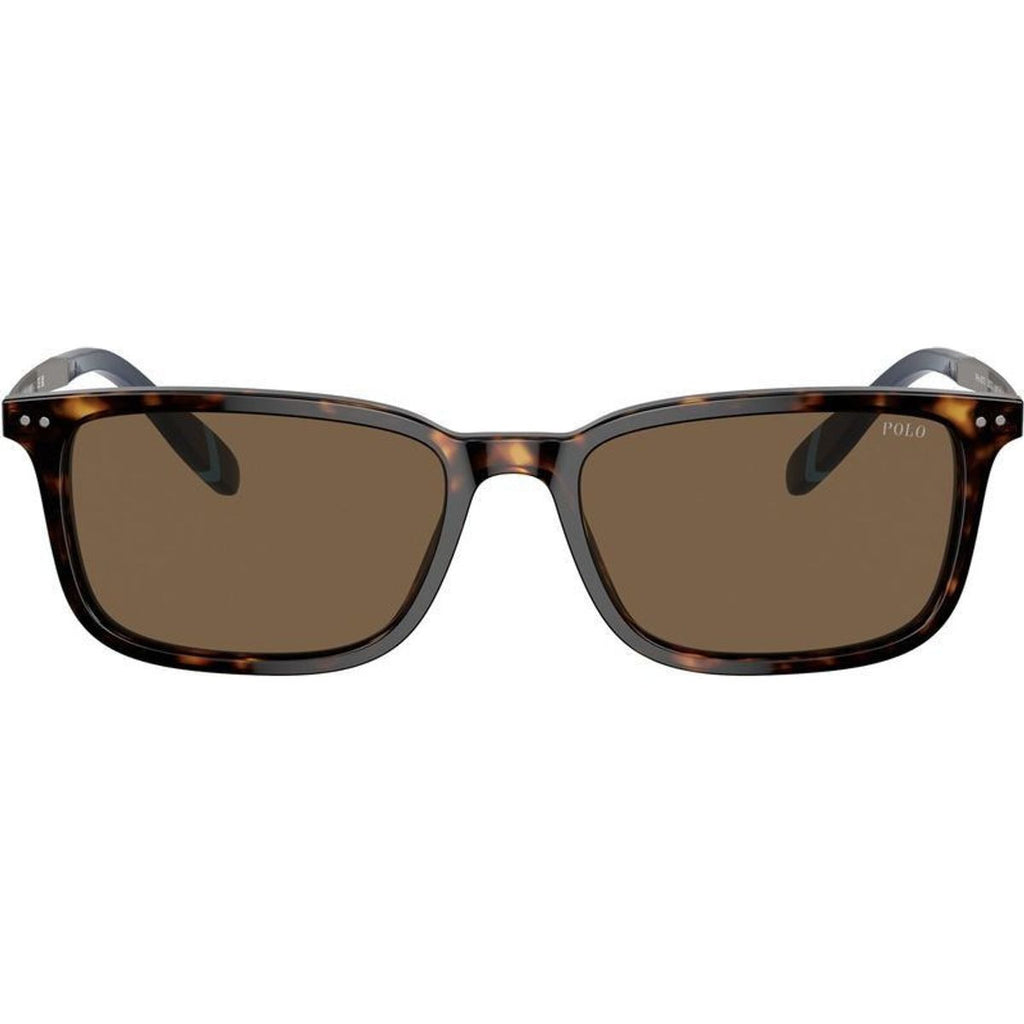 PH4212, Shiny Dark Havana/Brown Lenses